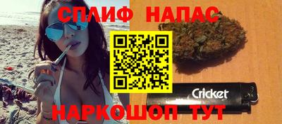 мдпв Дубна