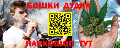 мдпв Дубна