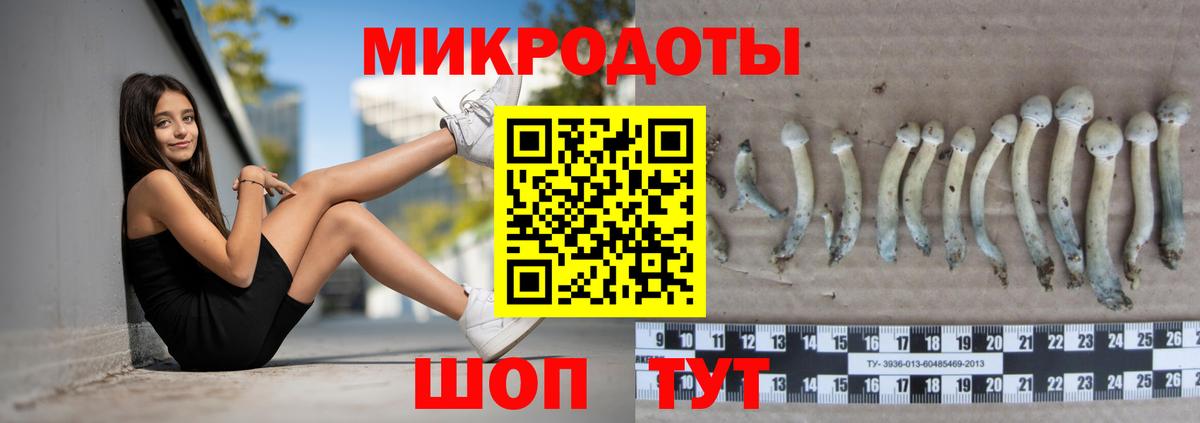 Галлюциногенные грибы прущие грибы Муром